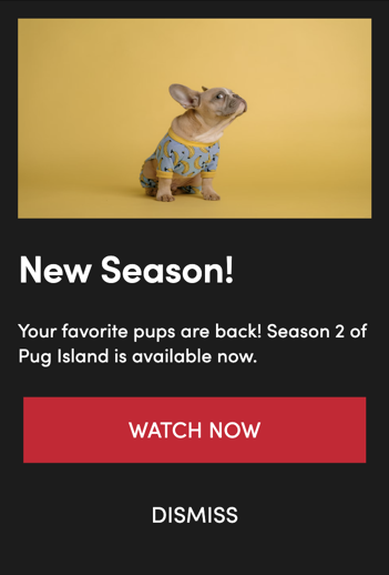 A sample Roku message